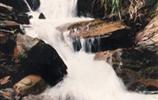 玉龍?jiān)怼㈨懰?></a></dd>
  <dd>
	 

	

	 

	　　雨母山西北一個(gè)山皂，東西縱向長(zhǎng)達(dá)1公里。有叫玉龍?jiān)?，有叫響水皂。該皂有響水泉和響水瀑布。在玉龍?jiān)砼c九龍沖相隔的山坳，叫玉龍騰山坳，簡(jiǎn)稱玉龍坳。玉龍土皂現(xiàn)駐有供電所、林場(chǎng)和蒸湘區(qū)黨校。在玉龍?jiān)淼?，有一泉臺(tái)，叫玉龍臺(tái)。...[<a href=