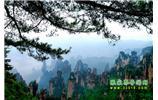【純玩獨立成團線路1】張家界、袁家界、天子山、寶峰湖/黃龍洞二晚三日
