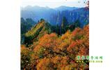 長沙往返張家界、天子山、寶峰湖/黃龍洞三日游