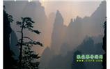 張家界國(guó)家森林公園、寶峰湖/黃龍洞、鳳凰古城、三峽八日游