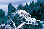 【純玩散拼線路17】張家界、天子山、芙蓉鎮(zhèn)、猛洞河漂流、鳳凰古城三晚四日游