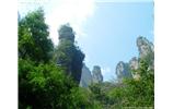 【純玩拼團(tuán)線路 張家界出發(fā)A2線】張家界、袁家界、天子山、金鞭溪、鳳凰古城2晚3日游